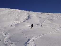 081124_A_siamo in 53.JPG